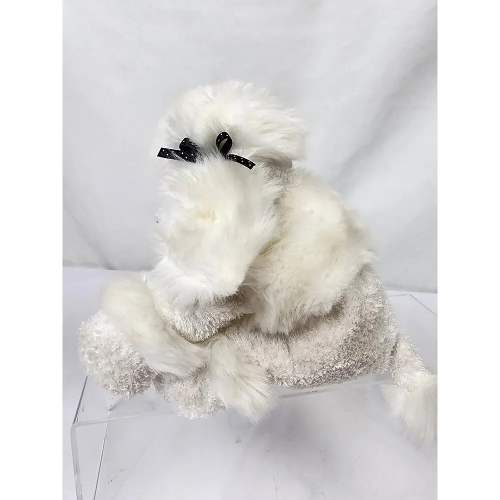 White French Poodle Dog 9